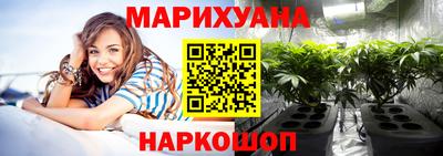мдпв Гатчина