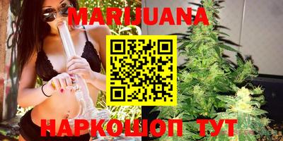 мдпв Гатчина