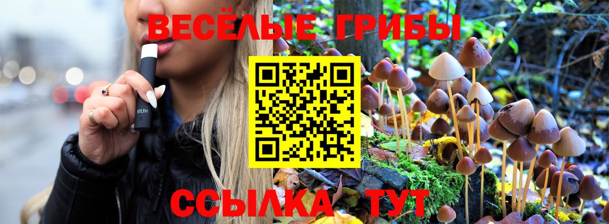 Новоалтайск  Псилоцибиновые грибы MAGIC MUSHROOMS  где продают наркотики  Галлюциногенные грибы прущие грибы  Вход с VPN 